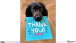 MISSING THUMBNAIL